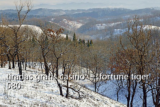tiradas gratis casino – fortune tiger 580